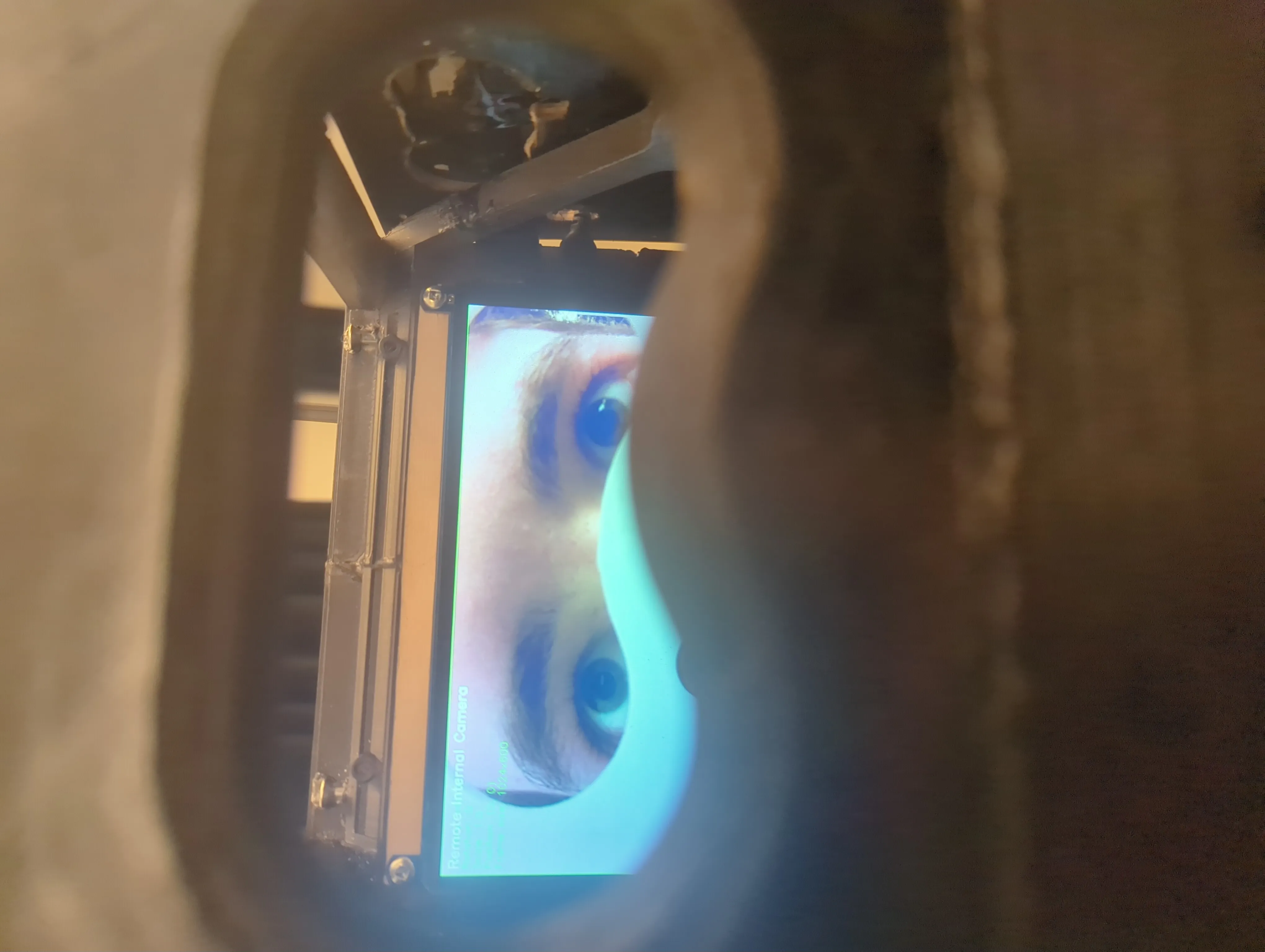 Eye tracking and visual processing test for internal camera